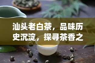 汕头老白茶，品味历史沉淀，探寻茶香之源