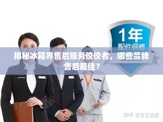 揭秘冰箱界售后服务佼佼者，哪些品牌售后最佳？