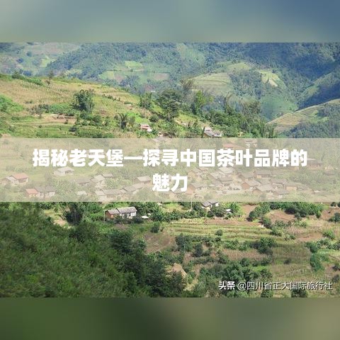 揭秘老天堡—探寻中国茶叶品牌的魅力