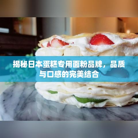 揭秘日本蛋糕专用面粉品牌，品质与口感的完美结合