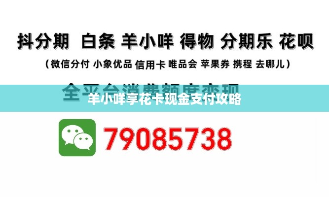 羊小咩享花卡现金支付攻略