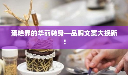 蛋糕界的华丽转身—品牌文案大换新！