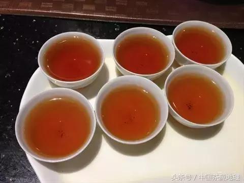 潮州茶叶品牌大盘点，品味潮汕风情的茶香世界