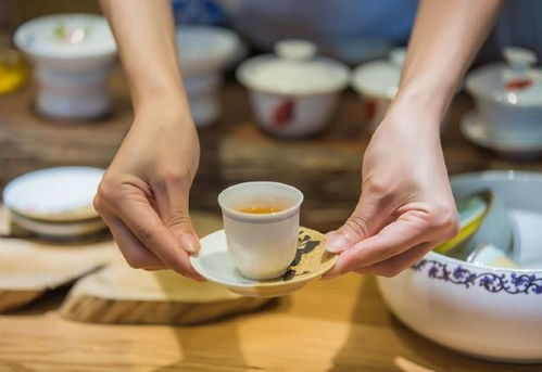安溪茶叶品牌店铺盘点，品味茶香，尽在这一方水土