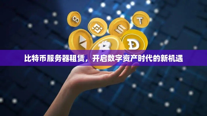比特币服务器租赁，开启数字资产时代的新机遇