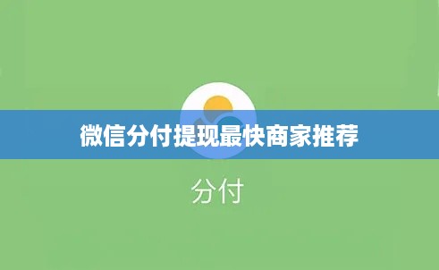 微信分付提现最快商家推荐