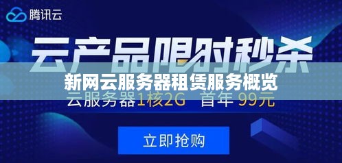 新网云服务器租赁服务概览