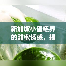 新加坡小蛋糕界的甜蜜诱惑，揭秘热门精致蛋糕品牌