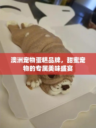 澳洲宠物蛋糕品牌，甜蜜宠物的专属美味盛宴