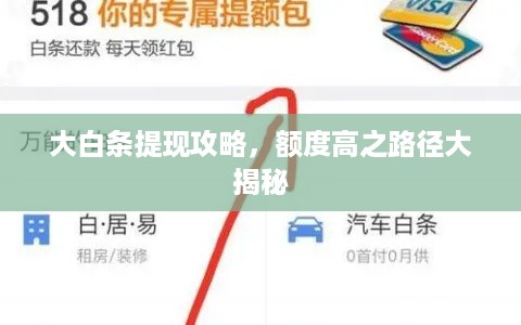 大白条提现攻略，额度高之路径大揭秘