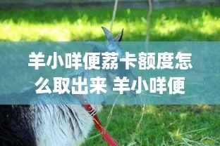 羊小咩便荔卡手续费免费提现攻略