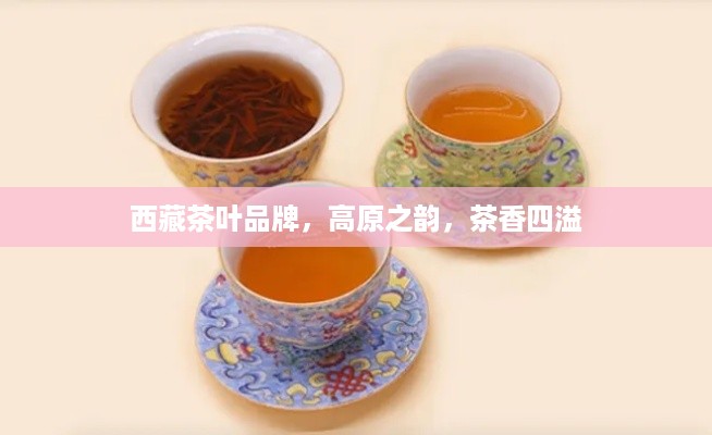 西藏茶叶品牌，高原之韵，茶香四溢