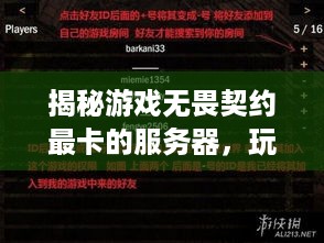 揭秘游戏无畏契约最卡的服务器，玩家心声与选择指南