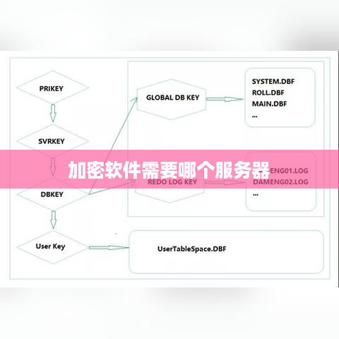 加密软件需要哪个服务器