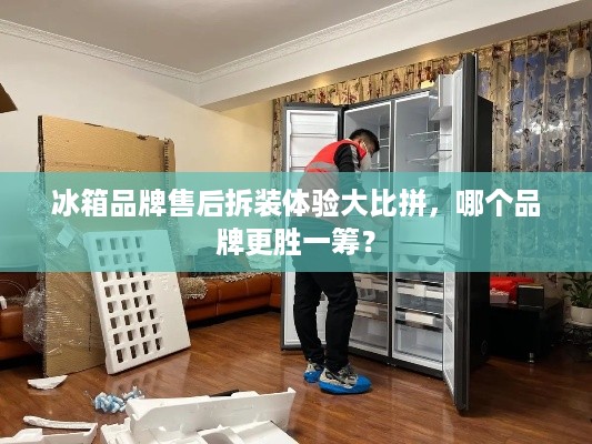 冰箱品牌售后拆装体验大比拼，哪个品牌更胜一筹？