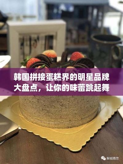 韩国拼接蛋糕界的明星品牌大盘点，让你的味蕾跳起舞！