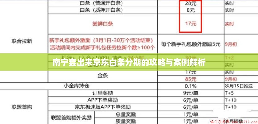 南宁套出来京东白条分期的攻略与案例解析