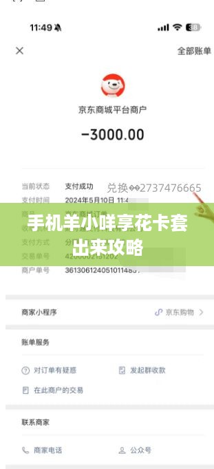 手机羊小咩享花卡套出来攻略