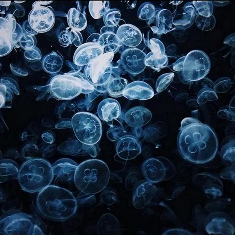 解锁密码之谜，忘了聊天记录，求助密码找回指南