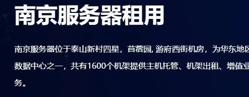 南京专业服务器租赁服务概览