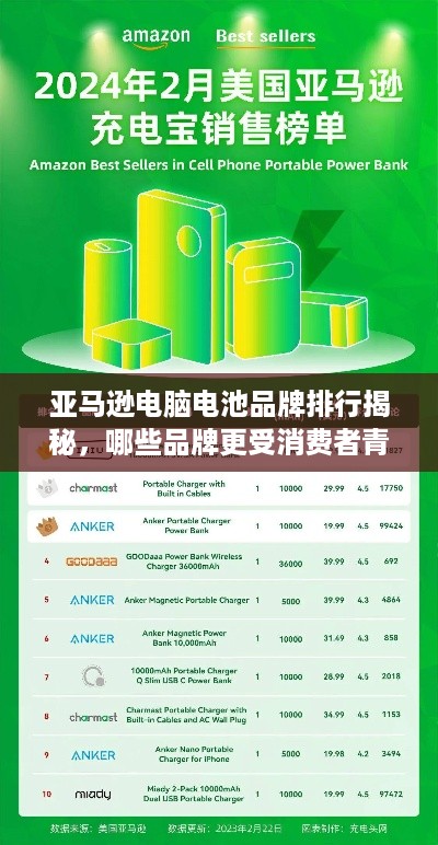 亚马逊电脑电池品牌排行揭秘，哪些品牌更受消费者青睐？
