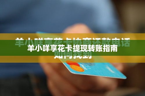 羊小咩享花卡提现转账指南