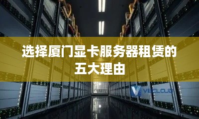 选择厦门显卡服务器租赁的五大理由