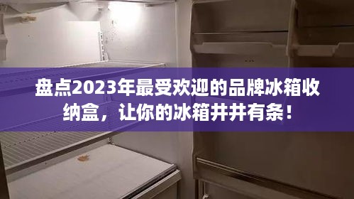 盘点2023年最受欢迎的品牌冰箱收纳盒，让你的冰箱井井有条！