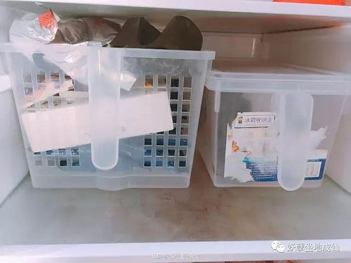 盘点2023年最受欢迎的品牌冰箱收纳盒，让你的冰箱井井有条！