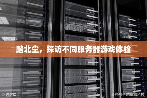 踏北尘，探访不同服务器游戏体验