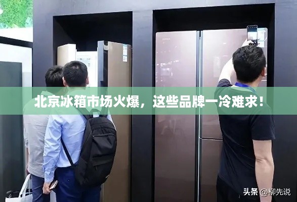 北京冰箱市场火爆，这些品牌一冷难求！
