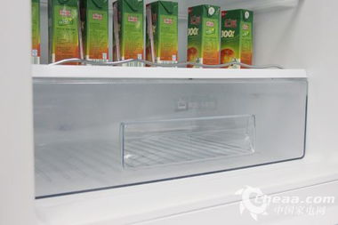 小功率微型冰箱品牌盘点，便携实用，轻松打造个人小冰柜