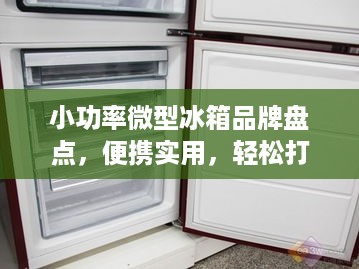 小功率微型冰箱品牌盘点，便携实用，轻松打造个人小冰柜