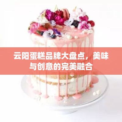 云阳蛋糕品牌大盘点，美味与创意的完美融合