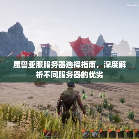 魔兽亚服服务器选择指南，深度解析不同服务器的优劣