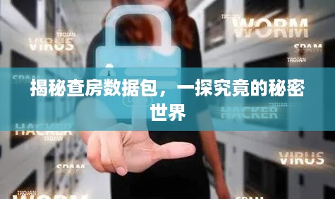 揭秘查房数据包，一探究竟的秘密世界