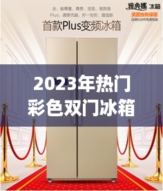 2023年热门彩色双门冰箱品牌推荐及选购指南