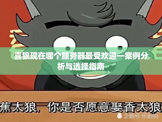 喜狼现在哪个服务器最受欢迎—案例分析与选择指南
