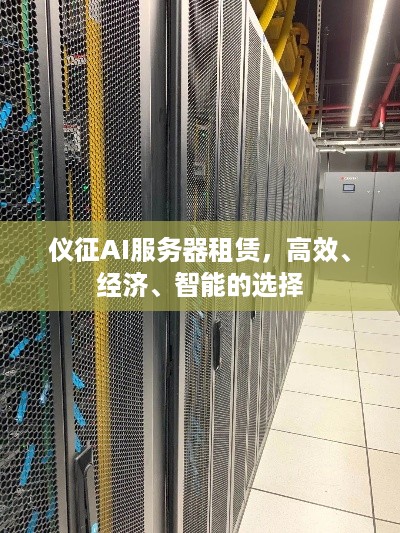 仪征AI服务器租赁，高效、经济、智能的选择