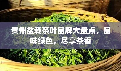 贵州盆栽茶叶品牌大盘点，品味绿色，尽享茶香