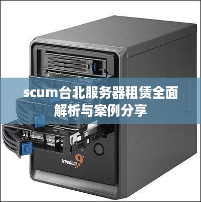 scum台北服务器租赁全面解析与案例分享