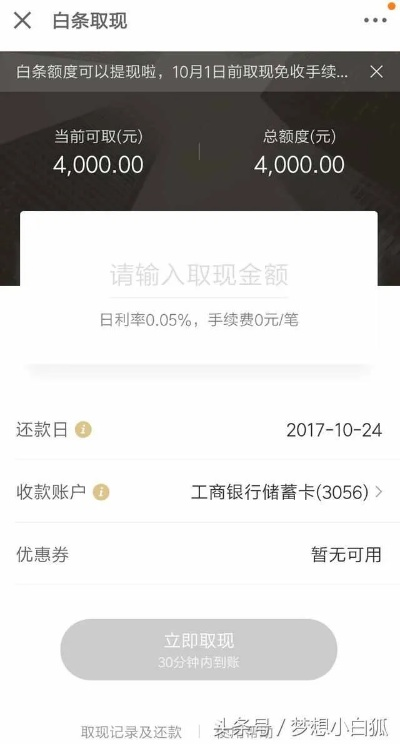 白条最高取现金额探讨