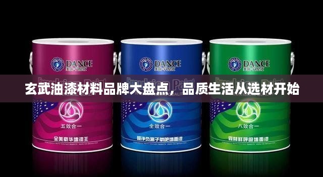 玄武油漆材料品牌大盘点，品质生活从选材开始