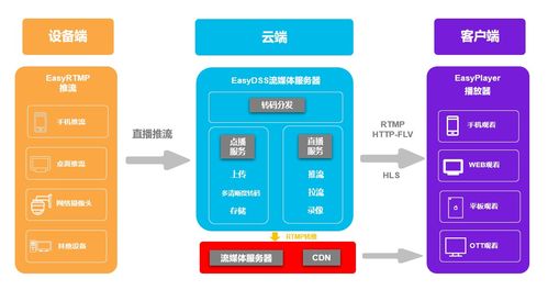 乐清移动服务器租赁，企业IT运营的得力助手