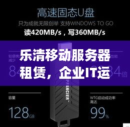 乐清移动服务器租赁，企业IT运营的得力助手
