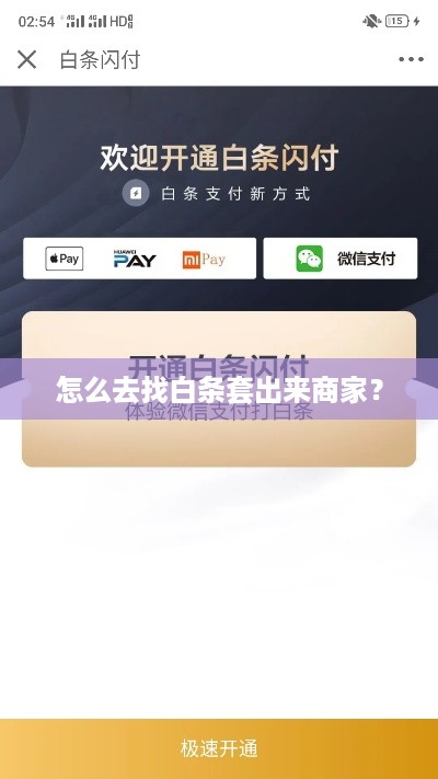 怎么去找白条套出来商家？
