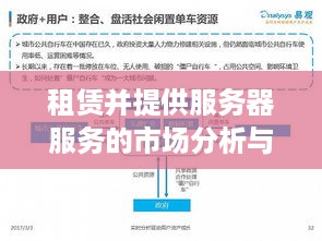租赁并提供服务器服务的市场分析与案例解读