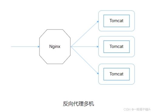 香港服务器租赁排名与案例解析