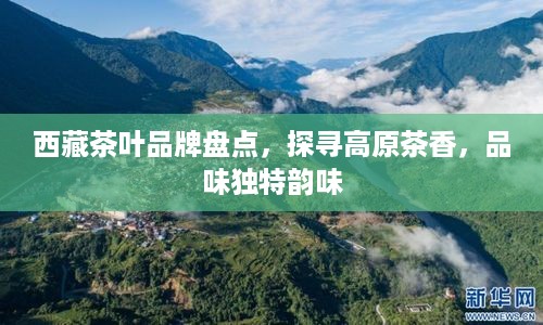 西藏茶叶品牌盘点，探寻高原茶香，品味独特韵味