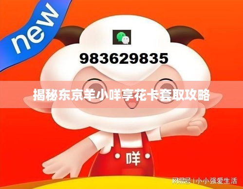 揭秘东京羊小咩享花卡套取攻略